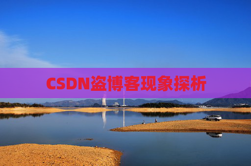 CSDN盗博客现象探析 CSDN盗博客现象探析